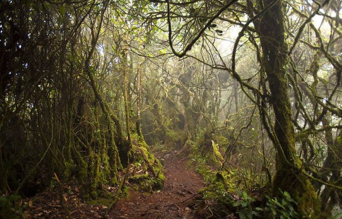 10603461_665552350193114_2531426904118595249_n