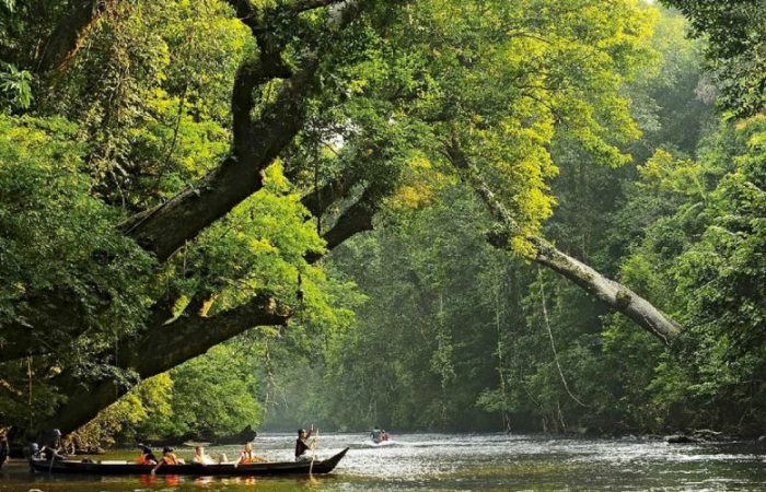 1200-taman-negara-990x500