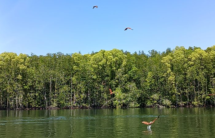 IMG_20250211_125044(1)