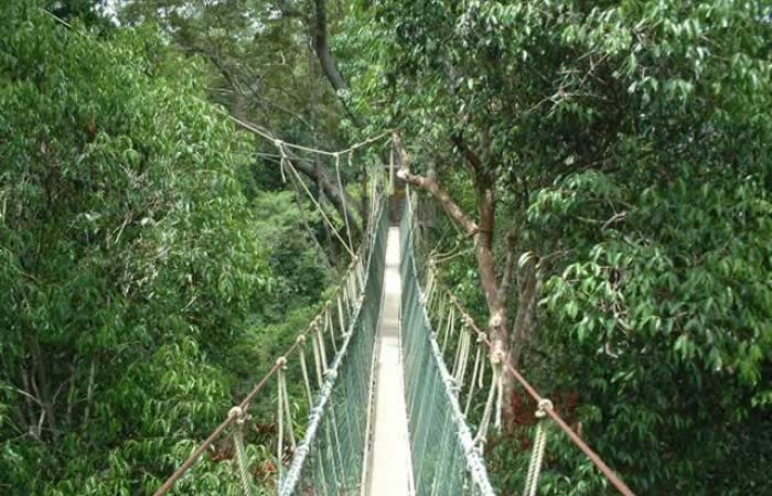 Taman Negara National Park