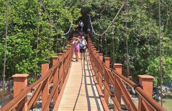 WhatsApp Image 2025-02-12 at 11.31.13 AM (1)