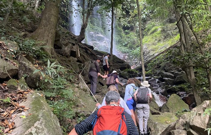 WhatsApp Image 2025-02-12 at 11.43.41 AM