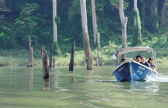 ROYAL BELUM TREASURE TROVE OF NATURE *** Local Caption *** ROYAL BELUM TREASURE TROVE OF NATURE