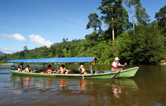 TAMAN NEGARA ENDAU ROMPIN